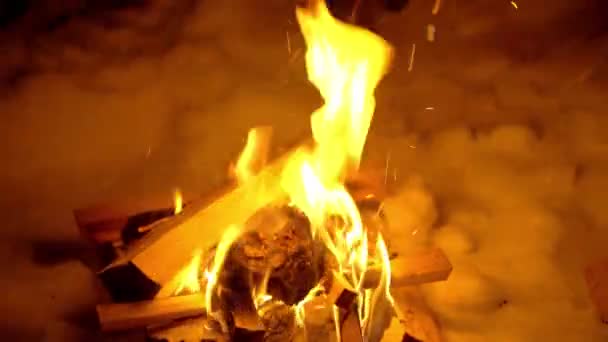 Fuego de madera de abedul quema por la noche — Vídeo de stock