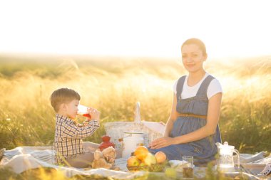 Küçük tatlı oğlan ve güzel hamile annesi piknikte.