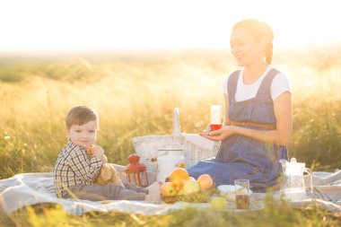Küçük tatlı oğlan ve güzel hamile annesi piknikte.