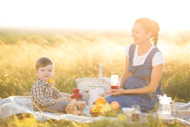 Küçük tatlı oğlan ve güzel hamile annesi piknikte.
