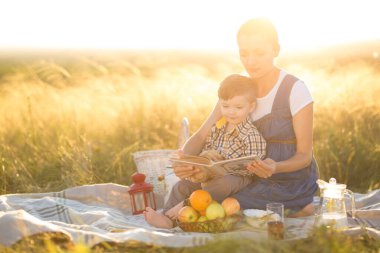 Küçük tatlı oğlan ve güzel hamile annesi piknikte.
