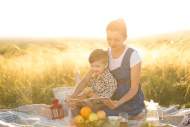 Küçük tatlı oğlan ve güzel hamile annesi piknikte.