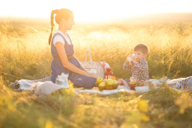 Küçük tatlı oğlan ve güzel hamile annesi piknikte.