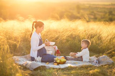 Küçük tatlı oğlan ve güzel hamile annesi piknikte.
