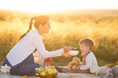 Küçük tatlı oğlan ve güzel hamile annesi piknikte.