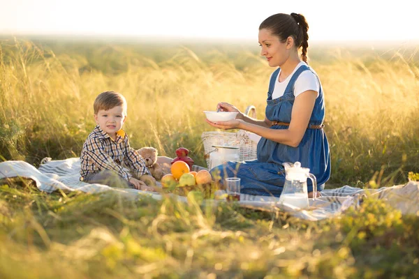 Kleine süße Junge Sohn und seine schöne schwangere Mutter bei Picknick — Stockfoto