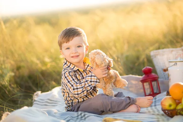 Küçük tatlı oğlan ve güzel hamile annesi piknikte. — Stok fotoğraf