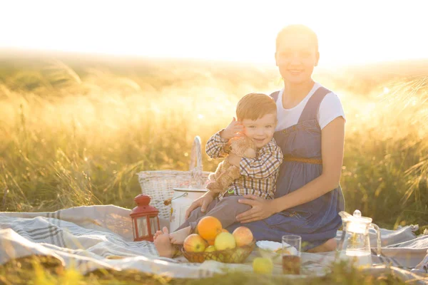Kicsi aranyos fiú és gyönyörű terhes anyukája pikniken — Stock Fotó