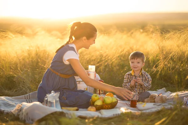 Küçük tatlı oğlan ve güzel hamile annesi piknikte.