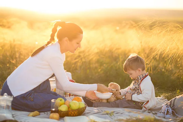 Piccolo ragazzo carino figlio e la sua bella mamma incinta al picnic — Foto Stock