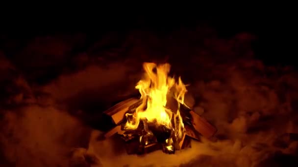Břízkové dřevo hoří v noci — Stock video