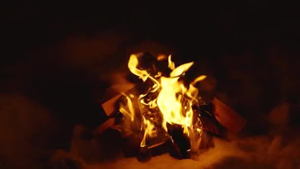 Le feu de bois de bouleau brûle la nuit — Video