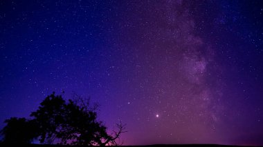 Güzel yıldızlı gece gökyüzü. Samanyolu ve yıldızlar