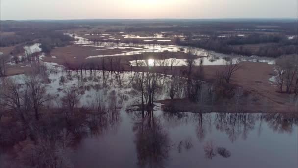 Vidéo aérienne d'une inondation printanière — Video