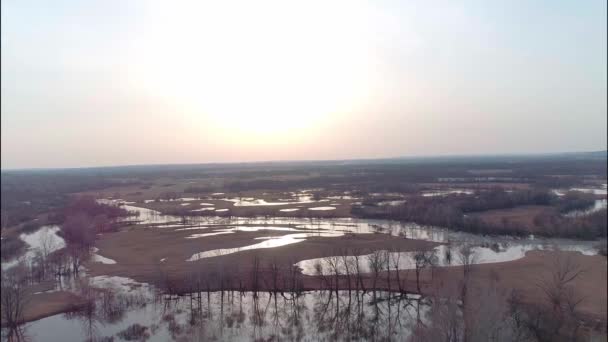 Vidéo aérienne d'une inondation printanière — Video