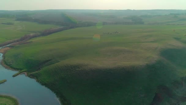 Luchtfoto van weide en meer — Stockvideo