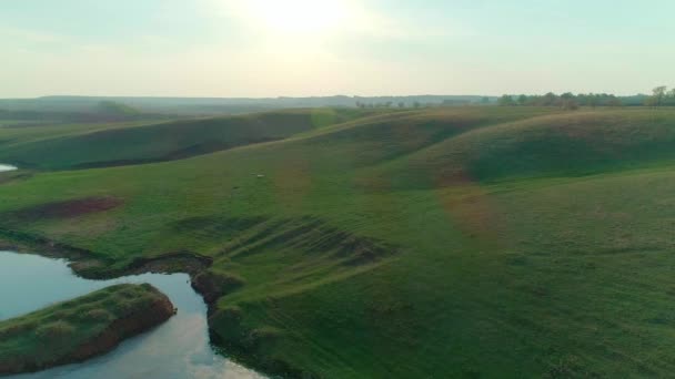 Aerial video of meadow and lake — Stock Video