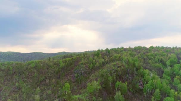 Video aereo delle montagne e della foresta in una giornata estiva — Video Stock