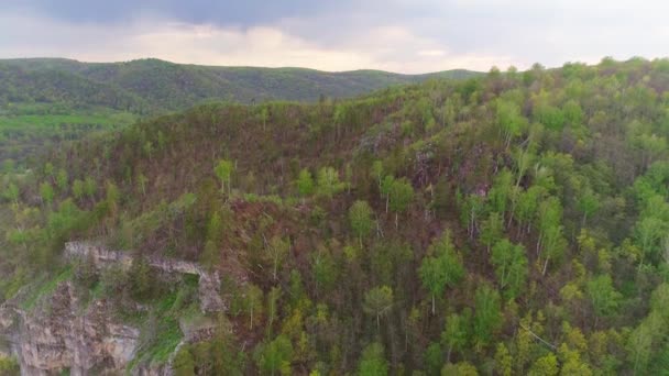 Vidéo aérienne des montagnes et de la forêt un jour d'été — Video