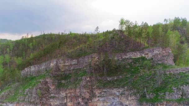 Vidéo aérienne des montagnes et de la forêt un jour d'été — Video