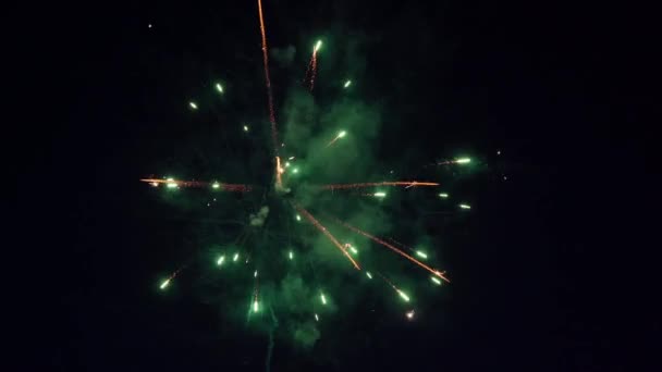 Fogos de artifício no fundo do céu escuro da noite — Vídeo de Stock