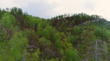 Bir yaz günü dağların ve ormanın havadan çekilmiş videosu