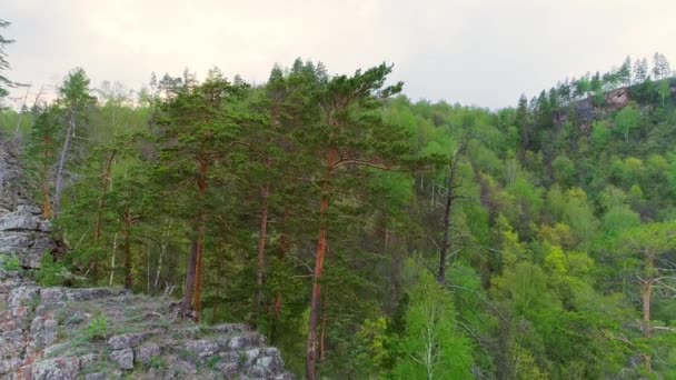 Flygfoto av berg och skog en sommardag — Stockvideo