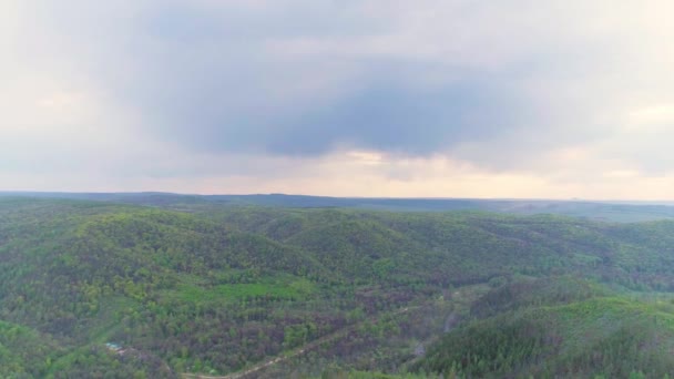 Vidéo aérienne des montagnes et de la forêt un jour d'été — Video