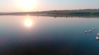 Vahşi Göl 'de Beyaz Kuğular Hava Videosu