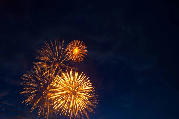 Feuerwerk vor dem Hintergrund des dunklen Nachthimmels. 4. Juli - Amerikanischer Unabhängigkeitstag — Stockfoto