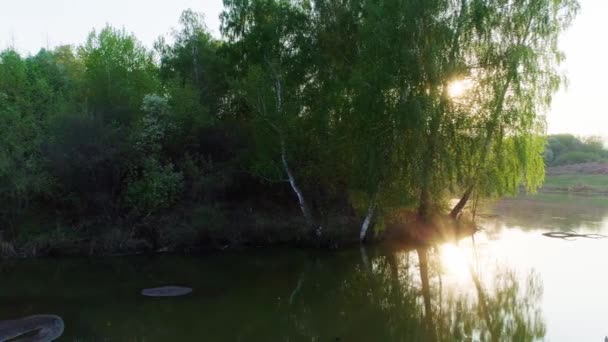 Luftbild von sommergrünem Wald und Teich oder See bei Sonnenuntergang — Stockvideo