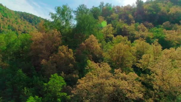 Vidéo aérienne de nuages, montagnes, forêts et rivières de montagne — Video