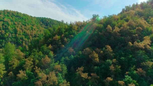 Vidéo aérienne de nuages, montagnes, forêts et rivières de montagne — Video