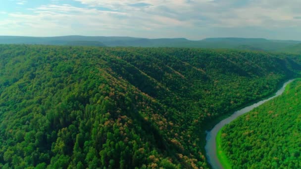 Letecké video mraků, hor, lesů a horských řek — Stock video