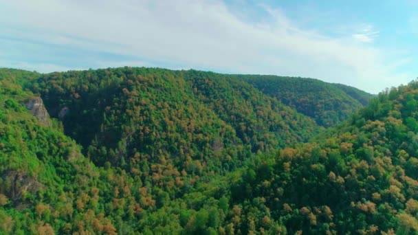 Flygfoto av moln, berg, skog och berg — Stockvideo