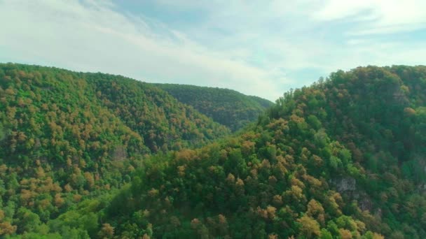 Video aereo di nuvole, montagne, foreste e fiumi di montagna — Video Stock