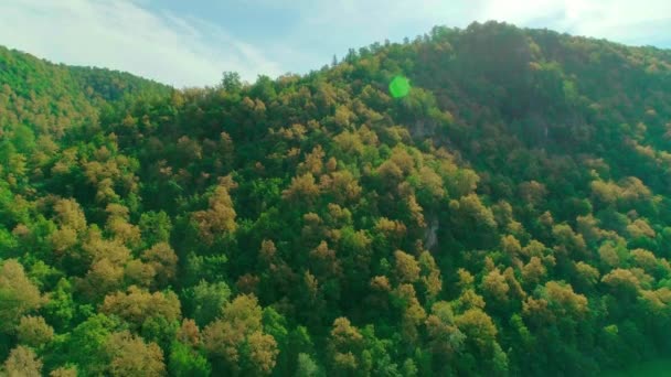 雲、山、森、山の川の空中ビデオ — ストック動画