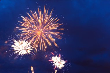Parlak renkli havai fişekler ve gece gökyüzünde çeşitli renklerin selamı. Bağımsızlık Günü, 4 Temmuz, 4 Temmuz veya Yeni Yıl.