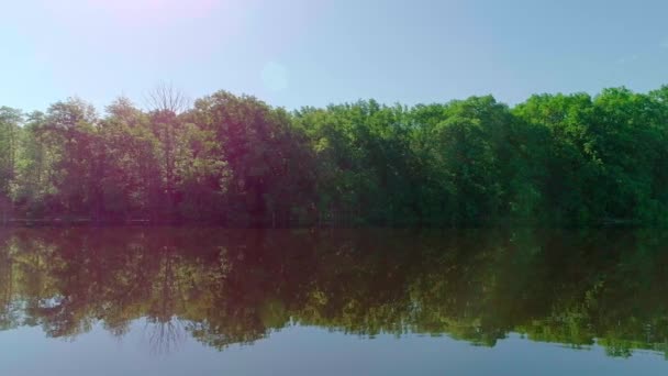 Légi felvétel a nyári zöld erdő és tó vagy tó naplementekor — Stock videók