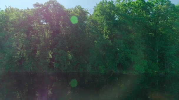 Video aereo della foresta verde estiva e stagno o lago al tramonto — Video Stock