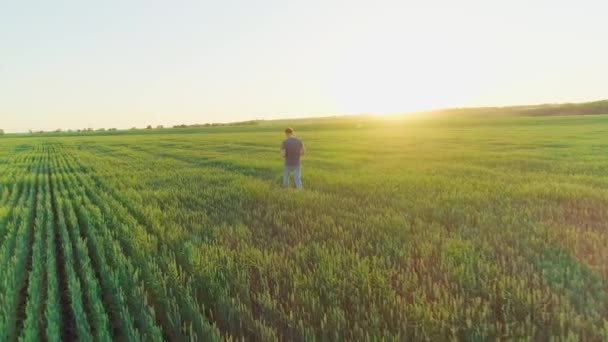 Flygfoto av en man på jordbruksmark med vete — Stockvideo