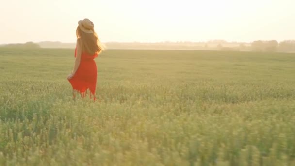 Mädchen im roten Kleid in einem Weizenfeld bei Sonnenuntergang — Stockvideo