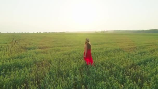 Vídeo aéreo de uma menina em um vestido vermelho em um campo de trigo ao pôr do sol — Vídeo de Stock