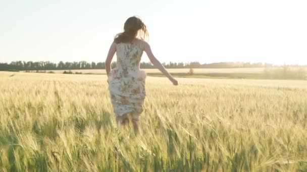 Ragazza in un vestito in un campo di grano al tramonto — Video Stock