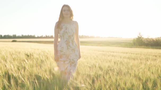 Menina em um vestido em um campo de trigo ao pôr do sol — Vídeo de Stock