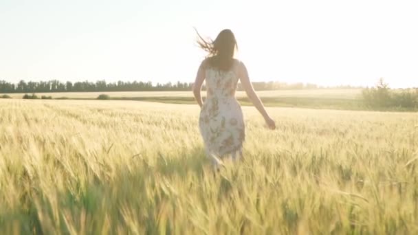 Chica en un vestido en un campo de trigo al atardecer — Vídeos de Stock