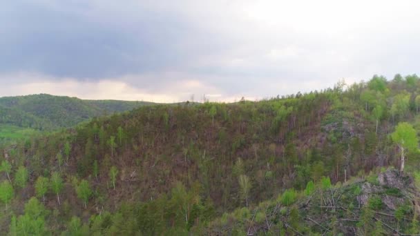 夏の日に山や森の空中ビデオ — ストック動画