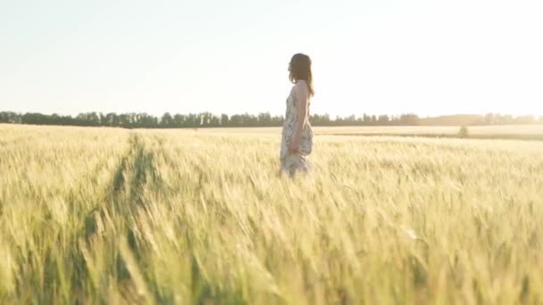 Ragazza in un vestito in un campo di grano al tramonto — Video Stock