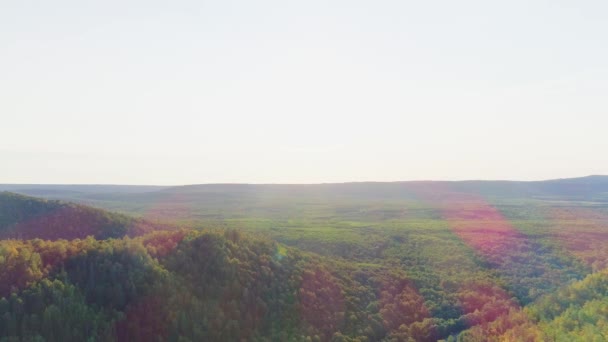 Luchtfoto van bergen, weg- en zomerbos — Stockvideo