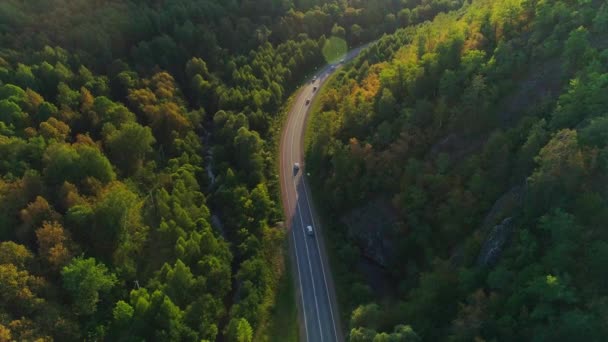 Dağların, yolların ve yaz ormanlarının hava görüntüleri — Stok video